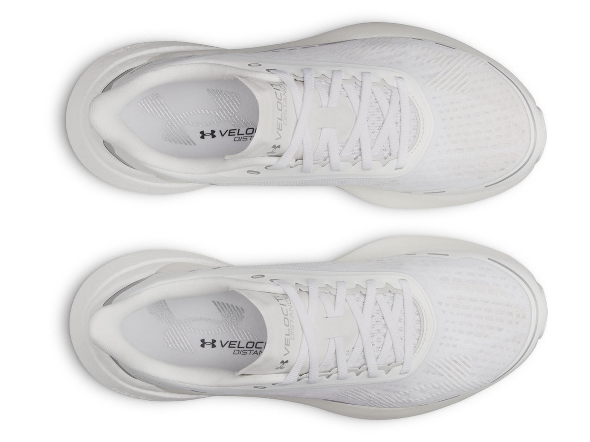 UA Velociti Distance - White / White / White - 100